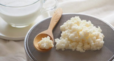 Mléčná houba je unikátní produkt pro výrobu léčivých nápojů